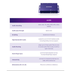 BrightSign AU335
